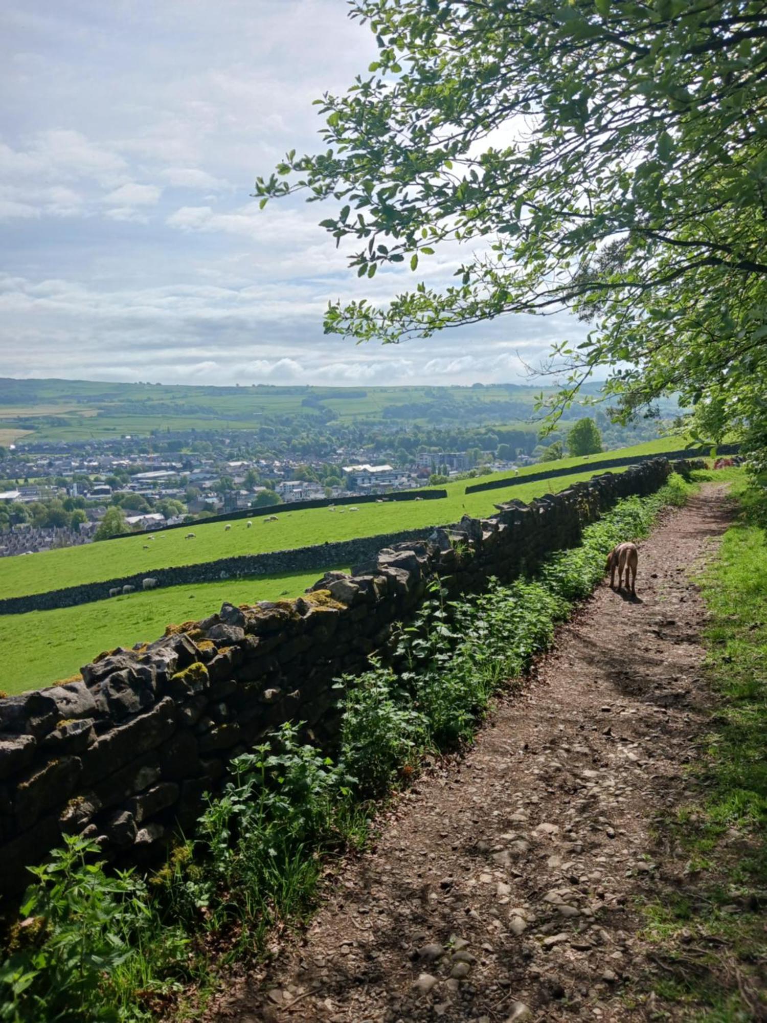 Arthurs Cottage -Charming Courtyard Cottage In The Heart Of Kendal, The Lake District Экстерьер фото